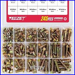 245PCS Grade 8.8 M6 M8 M10 Heavy Duty Flanged Bolts and Nuts Kit Metric Flanged