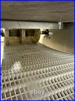 Heavy Duty Commercial S. S Food Grade Motorized Conveyor Machine