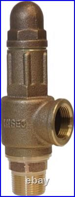 Heavy No Lead Heavy Duty Brass Pressure Relief Valve 75 PSI, Contractor Grade